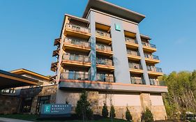 Embassy Suites Gatlinburg Tn 4*